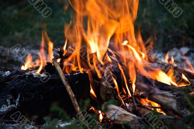 Fire tongues of flame. Russia. Samara.