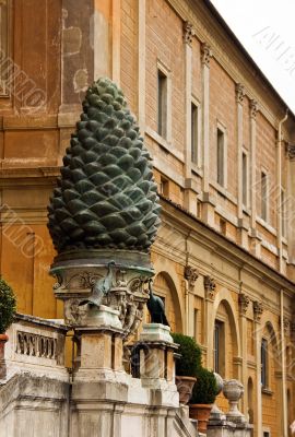 fir cone