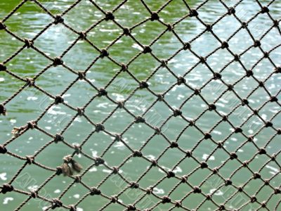 Rope Net