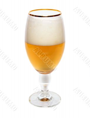 Glass of beer 