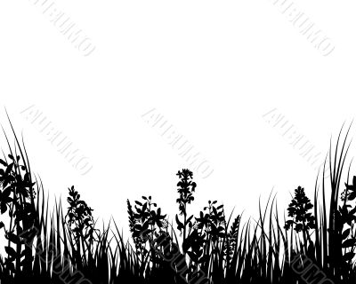 vector grass and flowers
