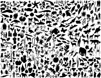 collage silhouettes
