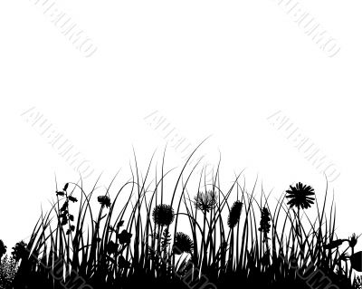 vector grass and flowers