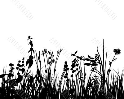 grass and flowers