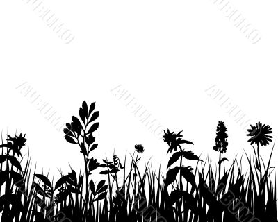 grass silhouettes