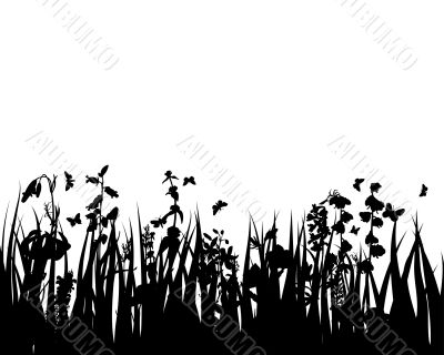 grass and flowers