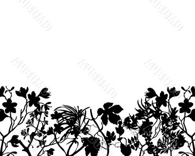 vector grass and flowers