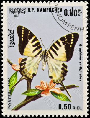 Stamp, butterfly and flower.