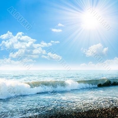solar sea
