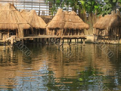 tropital huts