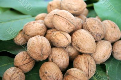 ripe nuts