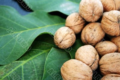 ripe nuts