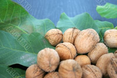 ripe nuts