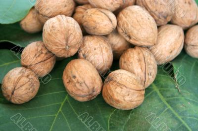ripe nuts