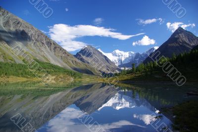 Altai