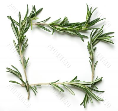 Rosemary frame