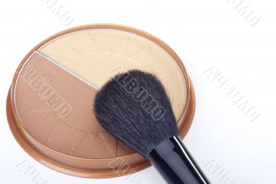 Powder Brush