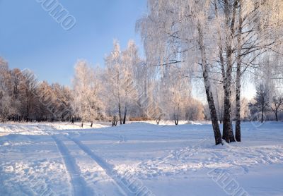 On The Winter Day