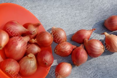 Onion Bulbs And The Bowl
