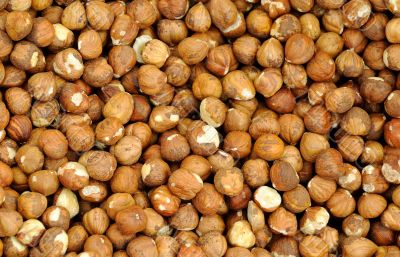 Closeup Shelled Hazelnuts