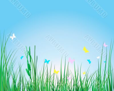 grass background