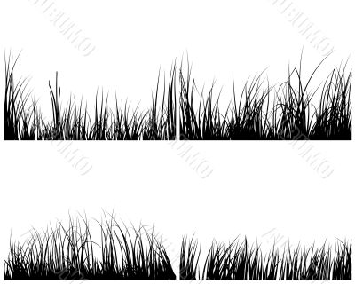 set of grasses