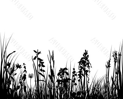 grass and flowers