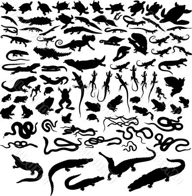 reptiles