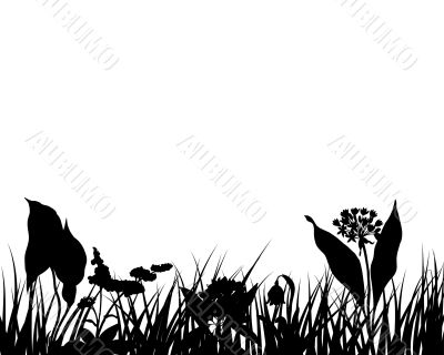 grass silhouette