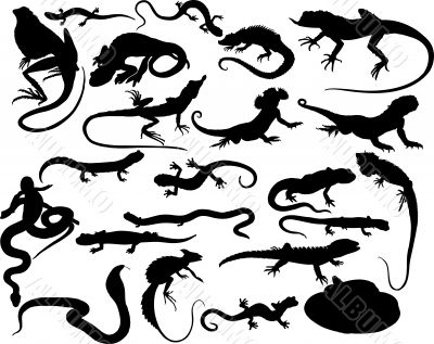 Vector reptiles