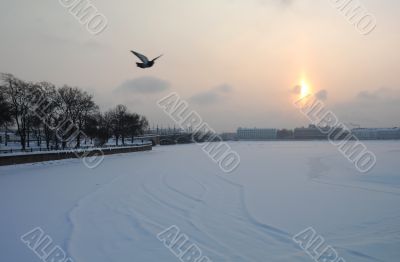 St.Petersburg at Russian Christmas