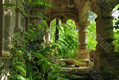 Abandoned house