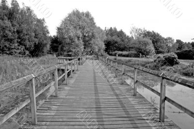 Bridge