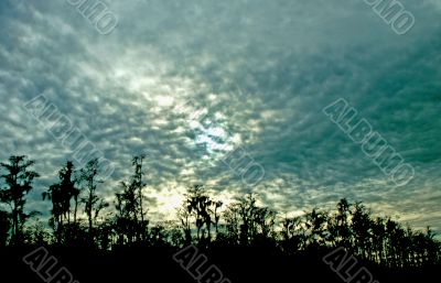 Spooky Sunset