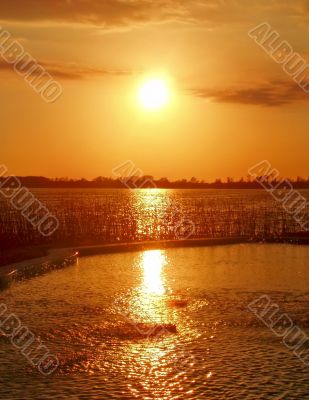 Sunset