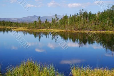 Lake in forest.