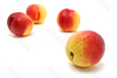 Four nectarines 