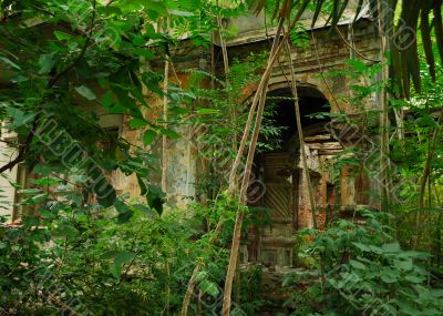 Abandoned house
