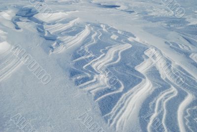 The snowdrift