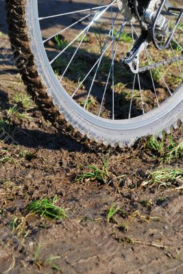 Wheel of bicycle