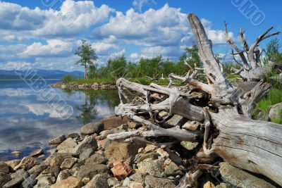 Coast of lake