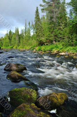 The river 