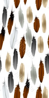 Seamless background with feathers