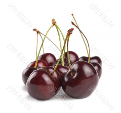 fresh cherry