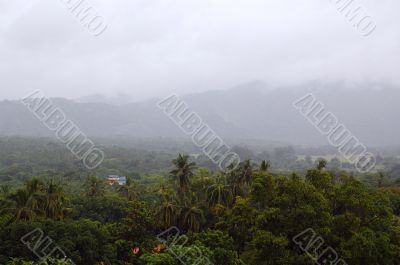 Srii Lanka In Fog