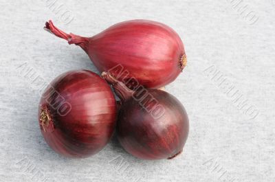 Three Red Onion Bulbs
