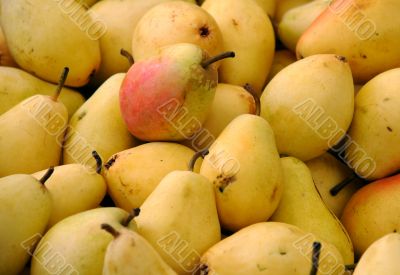 Closeup Image Of Pears On The Market