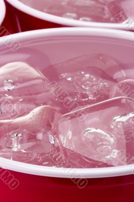 Water with Ice