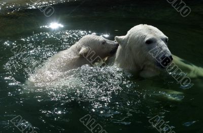 Games in water