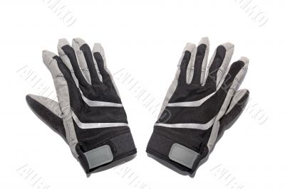 Ski gloves